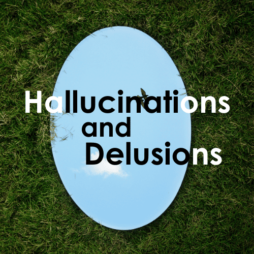 a mirror on the grass - hallucinations and delusions