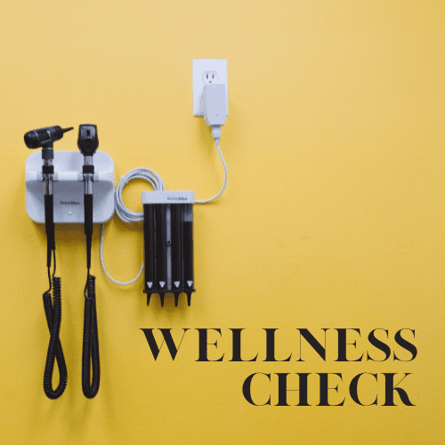 otoscope on yellow background with words "Wellness Check"