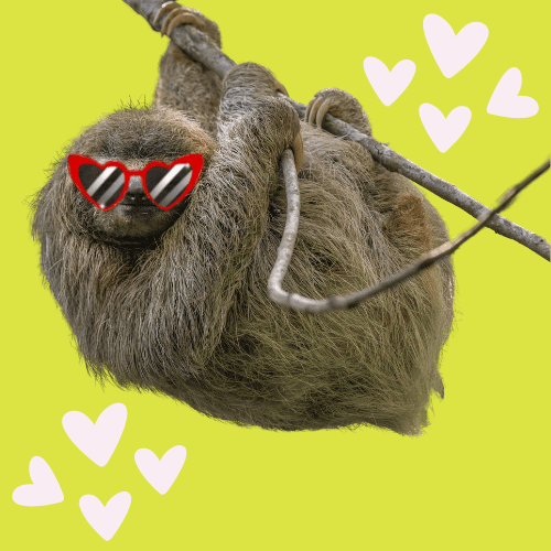 Sloth